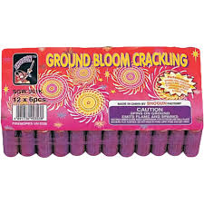 GROUND BLOOM FLOWER 1 pk